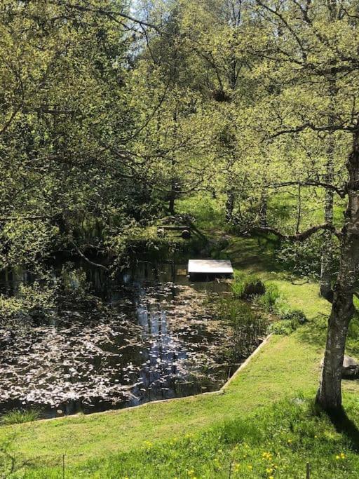 Exklusives Apartment Mit Schwimmbad Im Allgaeu Oy-Mittelberg Bagian luar foto